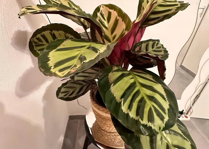 Lodge Perfect Getaway